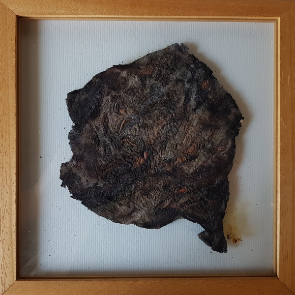 papier brûlé, 1999, 22,5 x 22,5 cm